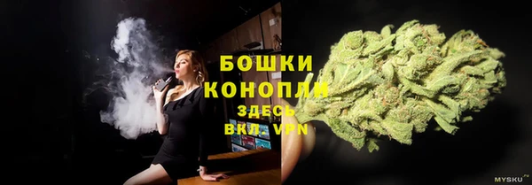 ГАЛЛЮЦИНОГЕННЫЕ ГРИБЫ Пестово