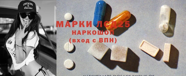 ГАЛЛЮЦИНОГЕННЫЕ ГРИБЫ Пестово