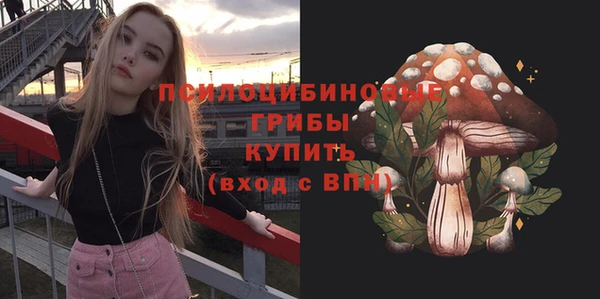 стаф Новосибирск