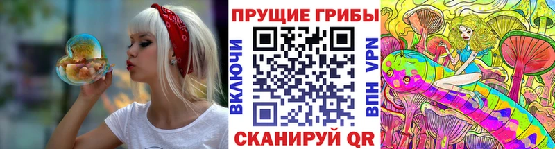 Галлюциногенные грибы Cubensis хочу наркоту Железногорск