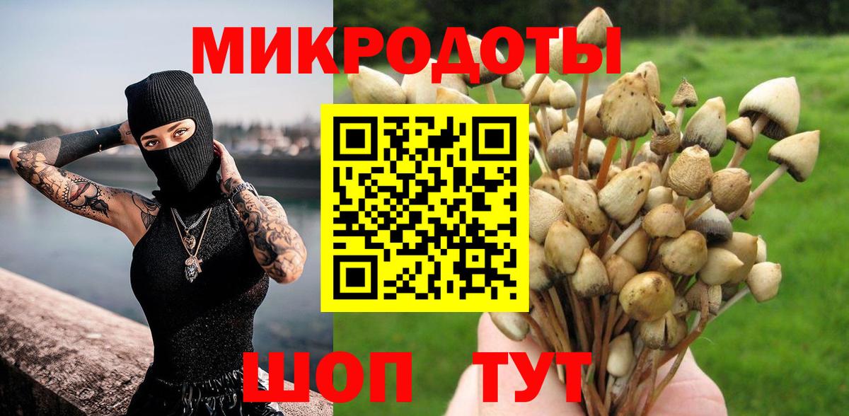 Псилоцибиновые грибы мухоморы  Вход с VPN  Псилоцибиновые грибы Magic Shrooms  Железногорск 